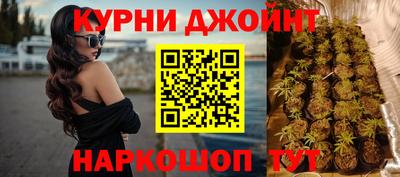 МДПВ Гудермес