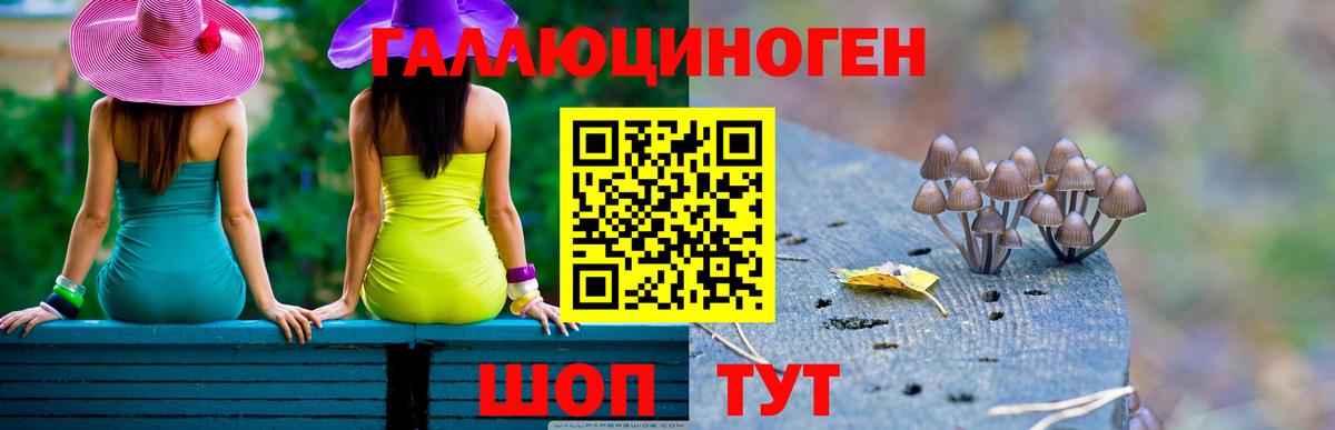 Галлюциногенные грибы мухоморы Мценск